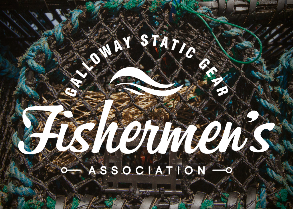 logo design by bdsdigital